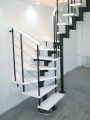 01 DP.jpg