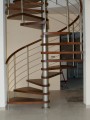 01 DP.jpg