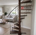 chat gpt z logo 29 P.jpg