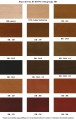 1.Wzornik Bejce Buk BR NOWY 2024.jpg